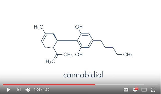 Video: What is a Cannabinoid?