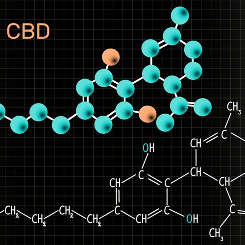 GB Seeks Minor Cannabinoids for Patient Studies